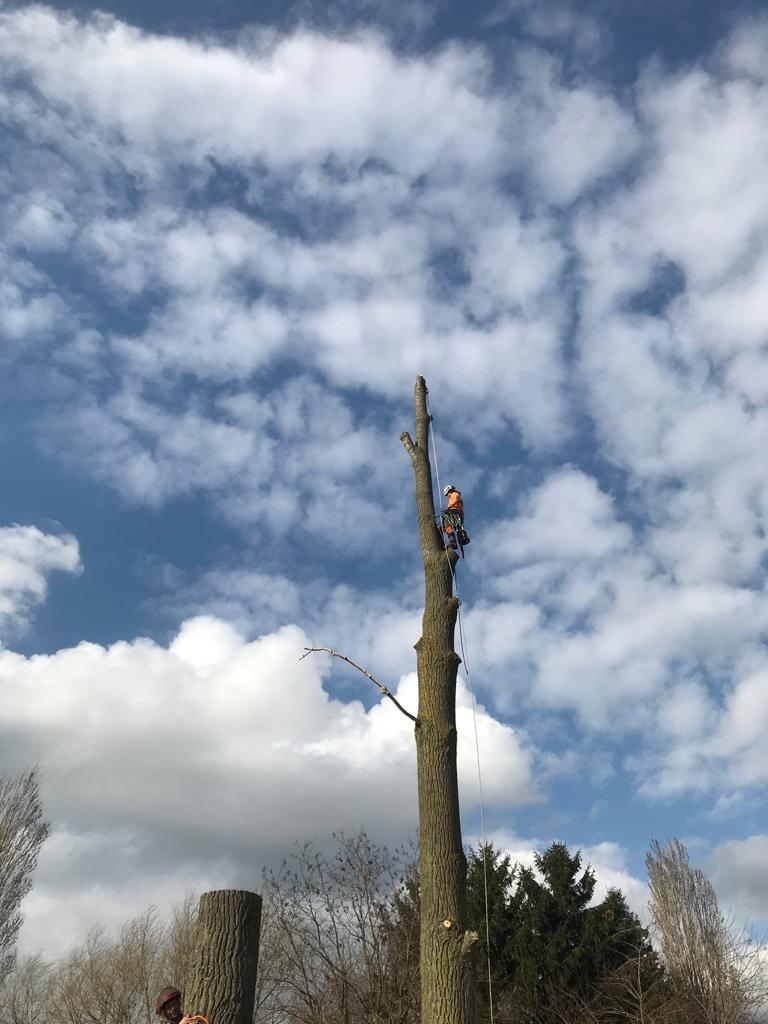 vellen & ontmantelen